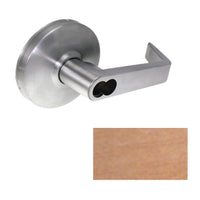 Cal-Royal Genesys GN Lever Design SFIC US10 Finish - All Things Door